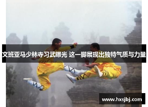 文班亚马少林寺习武曝光 这一脚展现出独特气质与力量 文班亚马少林寺习武曝光 这一脚展现出独特气质与力量
