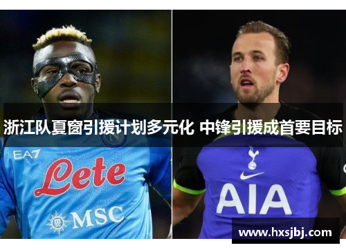 浙江队夏窗引援计划多元化 中锋引援成首要目标 浙江队夏窗引援计划多元化 中锋引援成首要目标