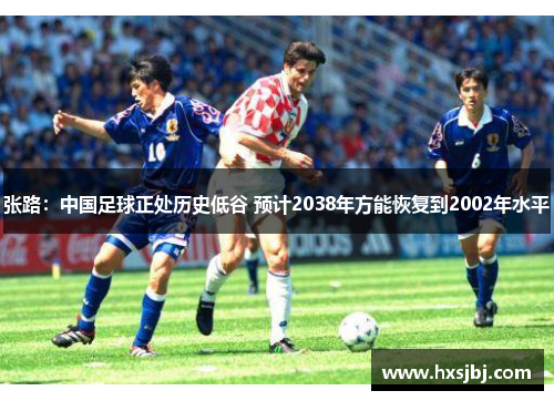 张路:中国足球正处历史低谷 预计2038年方能恢复到2002年水平 张路:中国足球正处历史低谷 预计2038年方能恢复到2002年水平