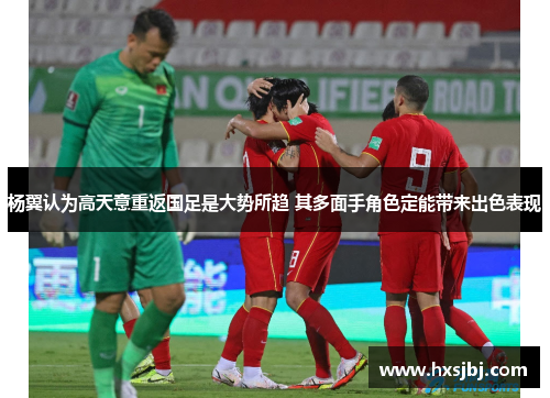 杨翼认为高天意重返国足是大势所趋 其多面手角色定能带来出色表现 杨翼认为高天意重返国足是大势所趋 其多面手角色定能带来出色表现