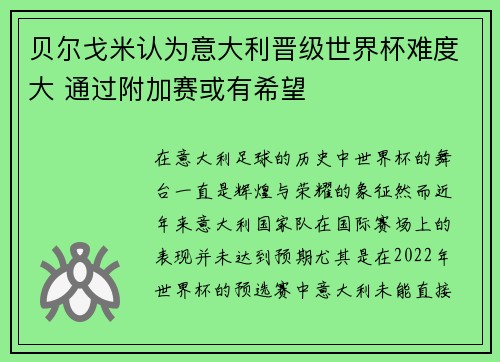 贝尔戈米认为意大利晋级世界杯难度大 通过附加赛或有希望 贝尔戈米认为意大利晋级世界杯难度大 通过附加赛或有希望